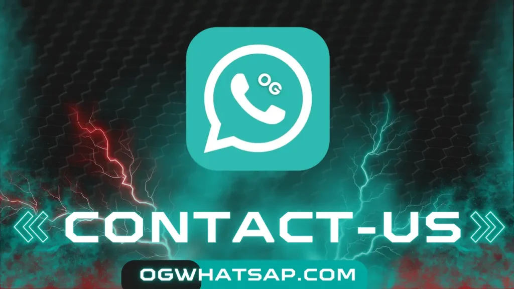 Contact-us 